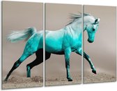 Glasschilderij Paard - Blauw, Grijs - 120x80cm 3Luik - Foto Op Glas - Geen Acrylglas Schilderij - GroepArt 6000+ Glas Art Collectie - Maatwerk Mogelijk