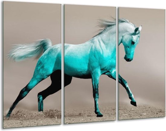 Peinture sur verre de cheval | Bleu gris | 120x80cm 3 Liège | Tirage photo sur verre |  F003681
