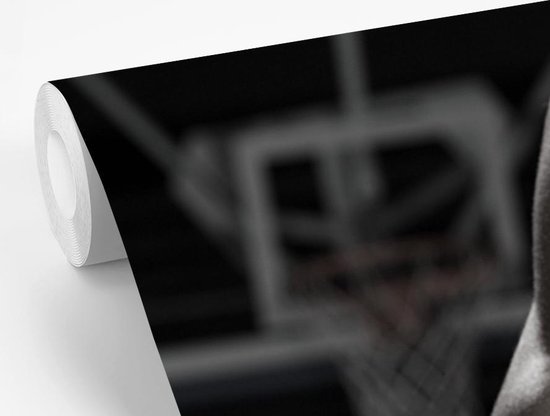 Fond d' écran - Papier peint photo - Zwart et blanc joueur de basket avec un basket - ball orange - Largeur 360 cm x hauteur 240 cm