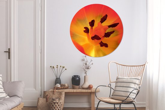 Un gros plan d'une tulp orange avec le pistil Wall cercle aluminium ⌀ 140 cm
