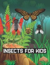 Insects for kids