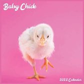 Baby Chick 2022 Calendar