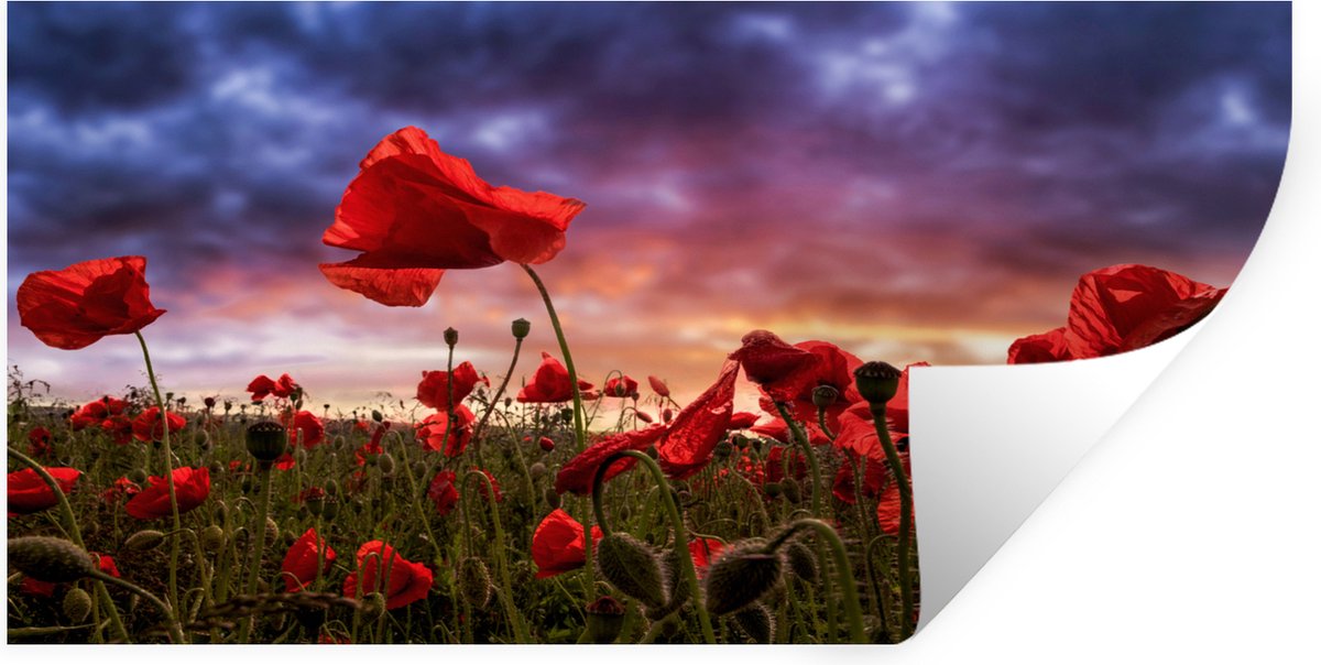 Muurstickers - Sticker Folie - Klaproos - Bloemenveld - Rood - 80x40 cm - Plakfolie - Muur