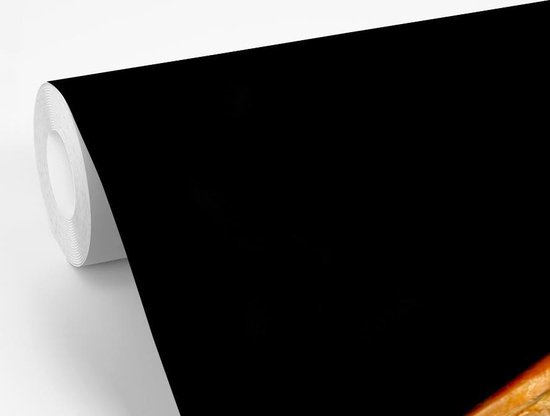 Papier peint Papier peint photo en vinyle - Portrait photo oiseau sur fond noir largeur 360 cm x hauteur 240 cm - Tirage photo sur papier peint (disponible en 7 tailles)