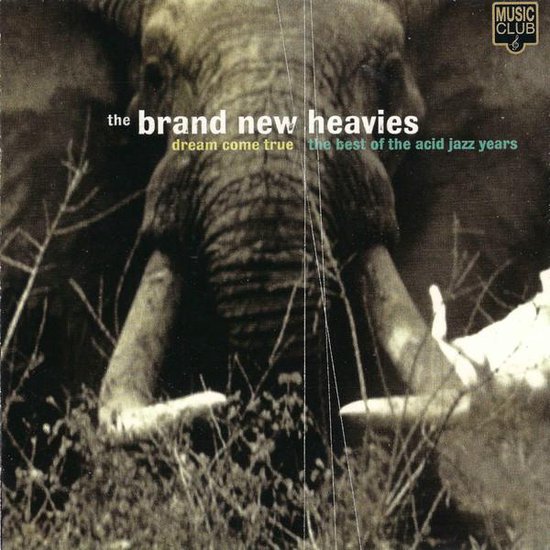 Dream Come True: The Best Of The Acid Jazz Years