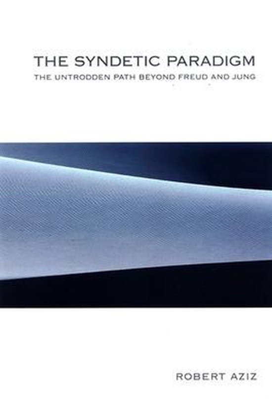 The Syndetic Paradigm - cover