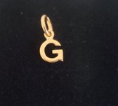Robimex Collection Zilveren hanger gold letter  G