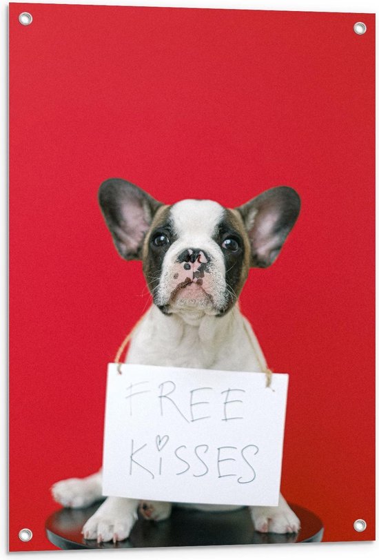 Tuinposter – Bulldog op Rode Achtergrond met ''Free Kisses'' Bord - 60x90cm Foto op Tuinposter  (wanddecoratie voor buiten en binnen)