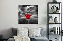 Image du produit 13