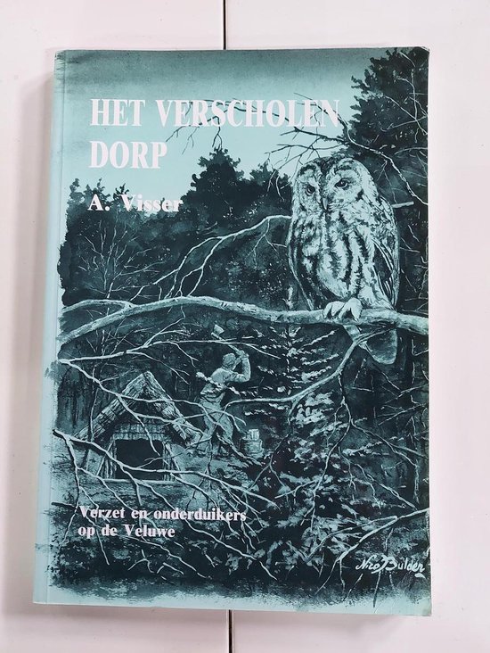 Cover van het boek 'Het verscholen dorp' van A. Visser