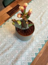 Wit, groene Inabel bed of tafel loper (Handgeweven)