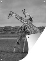 Tuin decoratie Spelende giraffes - zwart wit - 30x40 cm - Tuindoek - Buitenposter