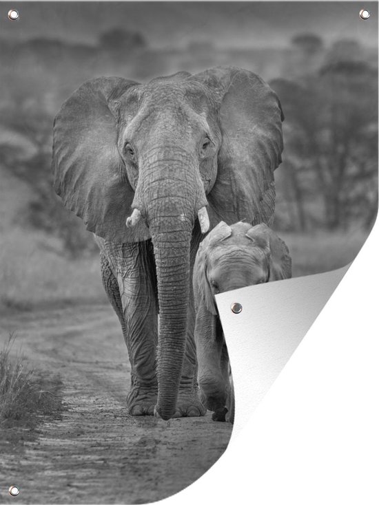 Décoration de Jardin Eléphante mère et son petit sur une route dans le