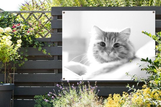Affiche jardin - Toile Posters de jardin extérieur - Gros plan chat - noir et blanc - 120x90 cm - Jardin