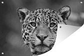 Muurdecoratie Close-up luipaard - zwart wit - 180x120 cm - Tuinposter - Tuindoek - Buitenposter