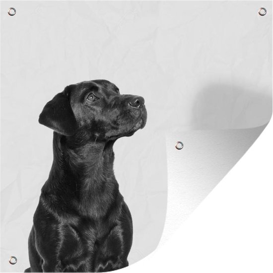 Tuinposters Omhoog kijkende honden - zwart wit - 50x50 cm - Tuindoek - Buitenposter