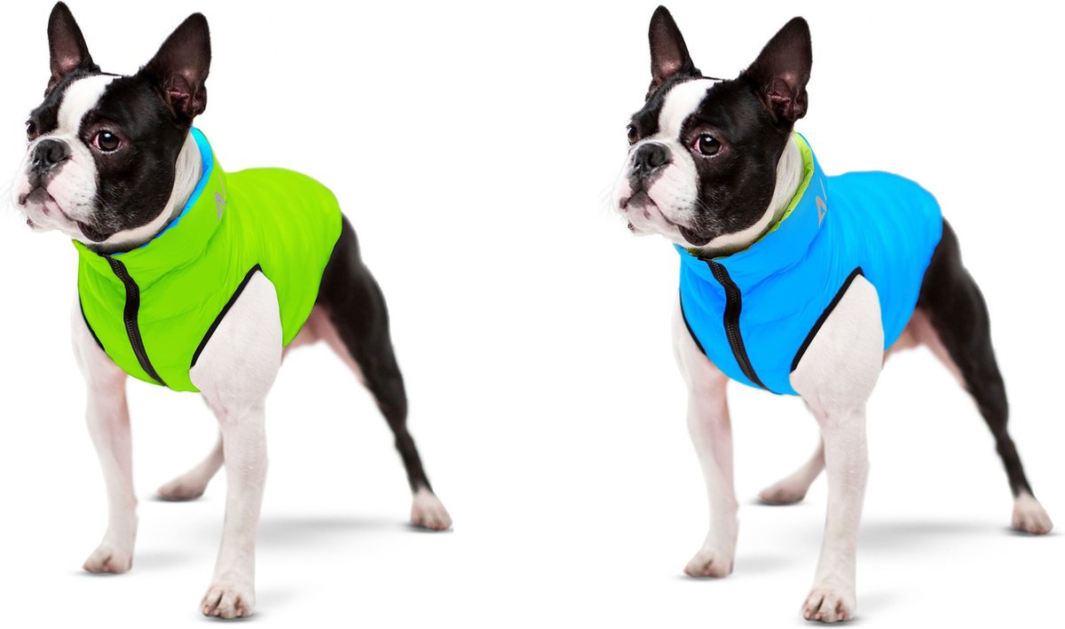 AiryVest Versatile Hondenjas / Hondenjack - Gevoerd - Omkeerbaar - Lime-Blue - Maat: S40 (GELIEVE ALVORENS BESTELLEN OPMETEN)