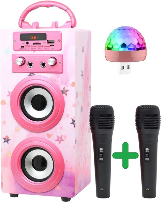 Karaoke Set Voor Volwassenen Karaoke Set Met 2 Microfoons bol