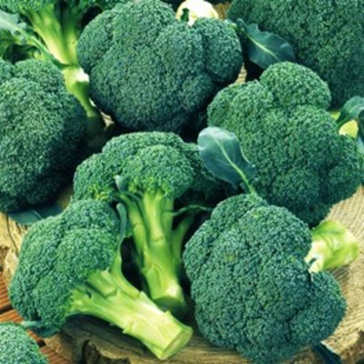 Broccoli oleracea Iron man F1 ca 50 zaden
