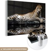 MuchoWow® Glasschilderij 150x100 cm - Schilderij acrylglas - Luipaard - Water - Bos - Foto op glas - Schilderijen