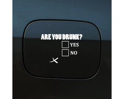 Bumpersticker - Are You Drunk - 14x10 - Wit