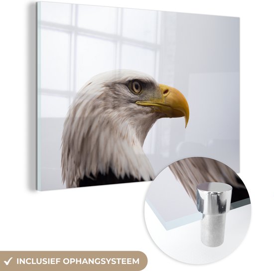 MuchoWow® Glasschilderij 90x60 cm - Schilderij acrylglas - Adelaar - arend - Portret - Vogel - Roofvogels - Snavel - Foto op glas - Schilderijen