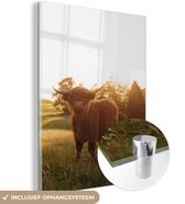MuchoWow® Peinture sur verre 30x40 cm - Peinture sur verre acrylique - Highlander écossais - Herbe - Soleil - Photo sur verre - Peintures