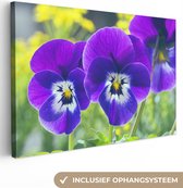 Tableau Toile Violons Violets - 150x100 cm - Décoration murale