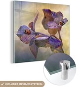 MuchoWow® Glasschilderij 50x50 cm - Schilderij acrylglas - Twee lieveheersbeestjes op bloemen - Foto op glas - Schilderijen