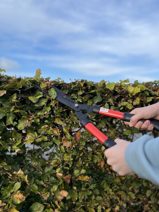 Talen Tools - Takkenschaar - Buxusschaar - Heggenschaar - Rechte snede van Talen Tools — afbeelding 2