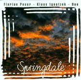 Florian Poser & Klaus Ignatzek Duo - Springdale (CD)