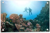 Tuinposter – Oceaan - Zee - Duikers - Koraal - Vissen - 60x40 cm Foto op Tuinposter (wanddecoratie voor buiten en binnen)