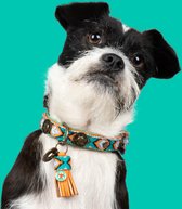 DWAM Dog with a Mission Halsband Hond – Hondenhalsband – Oranje – XL – Leer – Halsomvang tussen 47-57 x 4 cm – Morgan