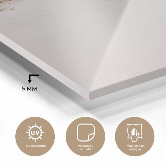 Peinture sur verre - Mer derrière les dunes - 160x80 cm - Peintures sur Verre Peintures - Photo sur Glas