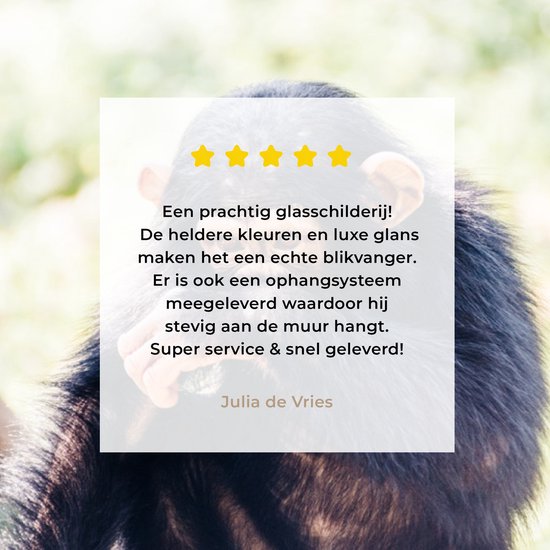 MuchoWow® Peinture sur verre 60x40 cm - Peinture sur verre acrylique - Singe chimpanzé en gros plan assis dans la forêt - Photo sur verre - Peintures