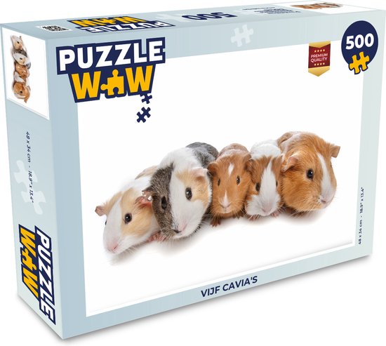 Puzzel vijf cavia's op een rij