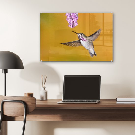 Un colibri calliope sur fond jaune Plexiglas 60x40 cm - Tirage photo sur Glas (Décoration murale plexiglas)