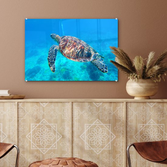 MuchoWow® Peinture sur verre 60x40 cm - Peinture sur verre acrylique - Tortue - Mer - Blauw - Photo sur verre - Peintures