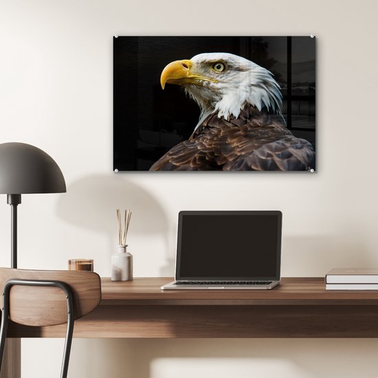 MuchoWow® Peinture sur verre 60x40 cm - Peinture sur verre acrylique - Aigle - Vogel - Yeux - Bec - Photo sur verre - Peintures