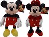 Mickey+en+Minnie