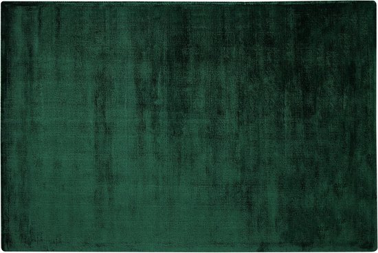 GESI II - Laagpolig vloerkleed - Groen - 160 x 230 cm - Viscose