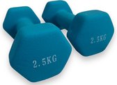 Padisport - Dumbells 2.5 Kg - Halter - Gewichten Set Halters - Gewichten 2.5 Kg - Blauw - Gewichten - Dumbells - Halters - Gewichtjes 2.5 Kg