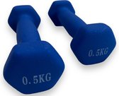 Padisport - Dumbells 0.5 Kg - Halter - Gewichten Set Halters - Gewichten 0.5 Kg - Blauw - Gewichten - Dumbells - Halters - Gewichtjes 0.5 Kg