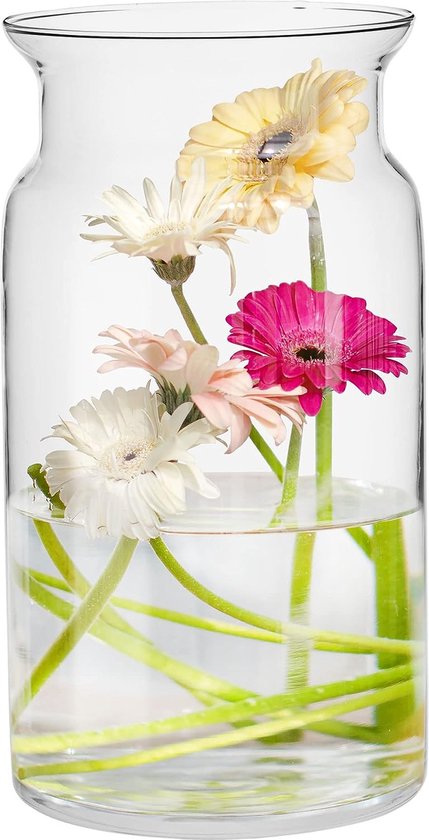 Grote glazen vaas, hoog, 29,5 cm, bloemenvaas, grote vloervaas, glas, grote vaas, amaryllis, vaas, tulpen, ronde glazen vaas, cilinder, doorzichtig, grote vazen voor de vloer, Ø 16 cm,