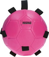 Maximus Fun Play Ball Rose