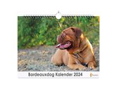 XL 2024 Kalender - Jaarkalender - Bordeauxdog