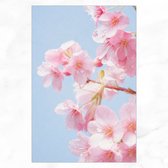 La Décoration murale - Cherry Blossom - Tableau Fleurs - Sakura - 50x70 cm - Toile - Accessoires de vêtements pour bébé de Chambre - Décoration murale Rurale