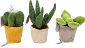 Pluche cactus - set van drie (ca 23 cm)