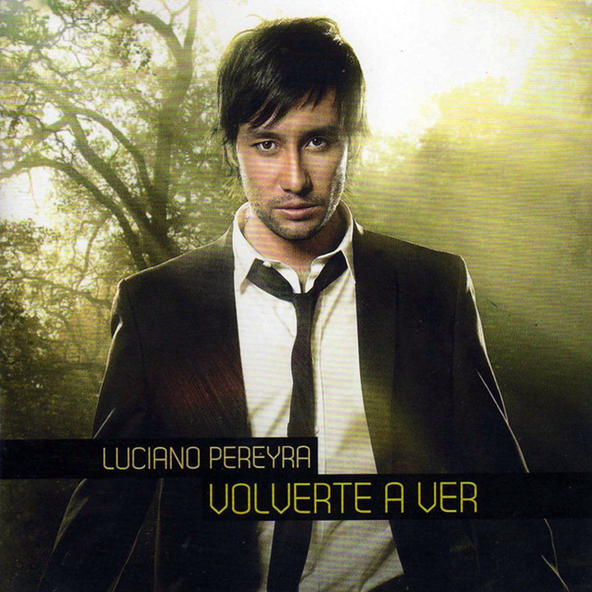 Volverte a Ver