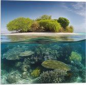Vlag - Koraal - Oceaan - Zee - Eiland - 50x50 cm Foto op Polyester Vlag